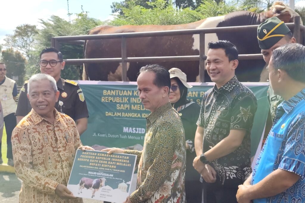 Penyerahan Bantuan Sapi Iduladha 2025 di Kab. Sintang