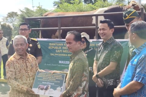 Penyerahan Bantuan Sapi Iduladha 2025 di Kab. Sintang